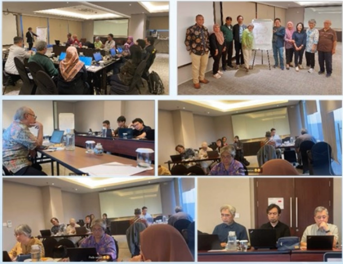 Индонезия: национальная реализация