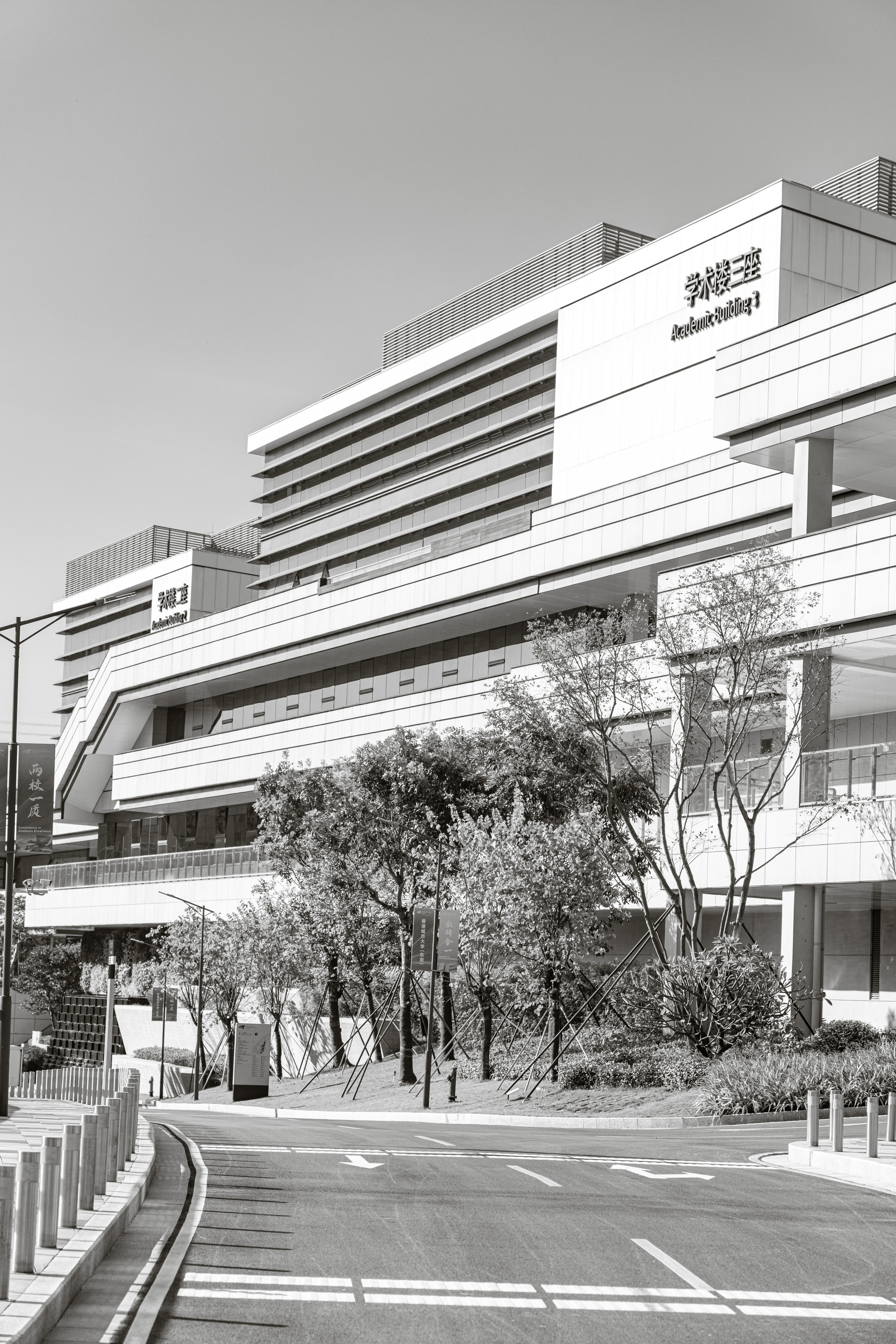 10699608.jpg 20260326-102843.jpg